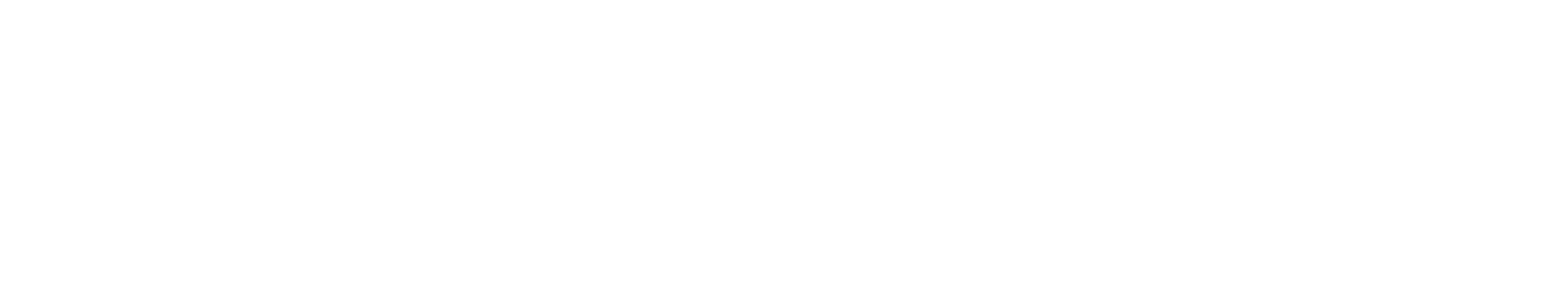 Expert Ascenseur